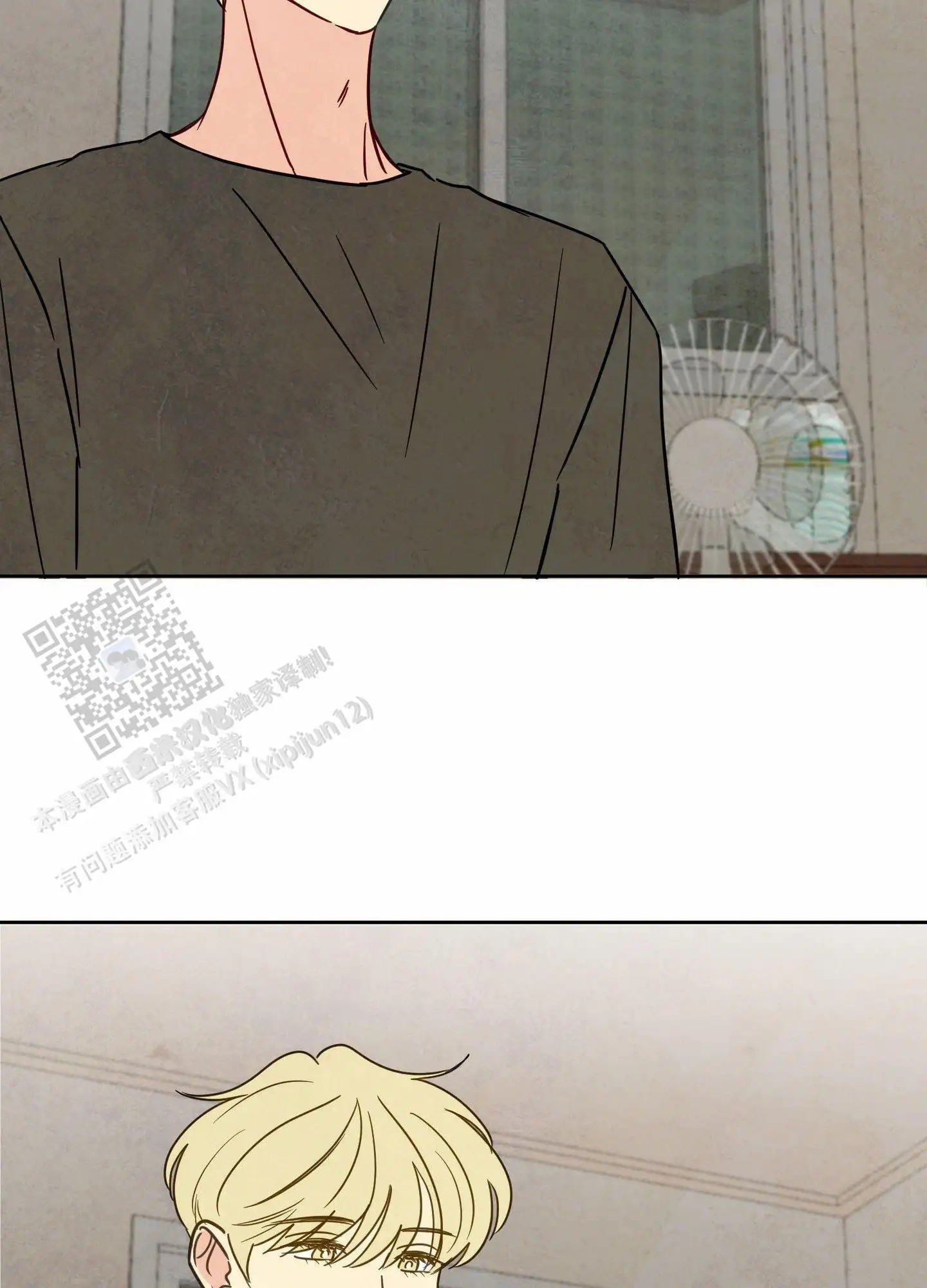 41.jpg
