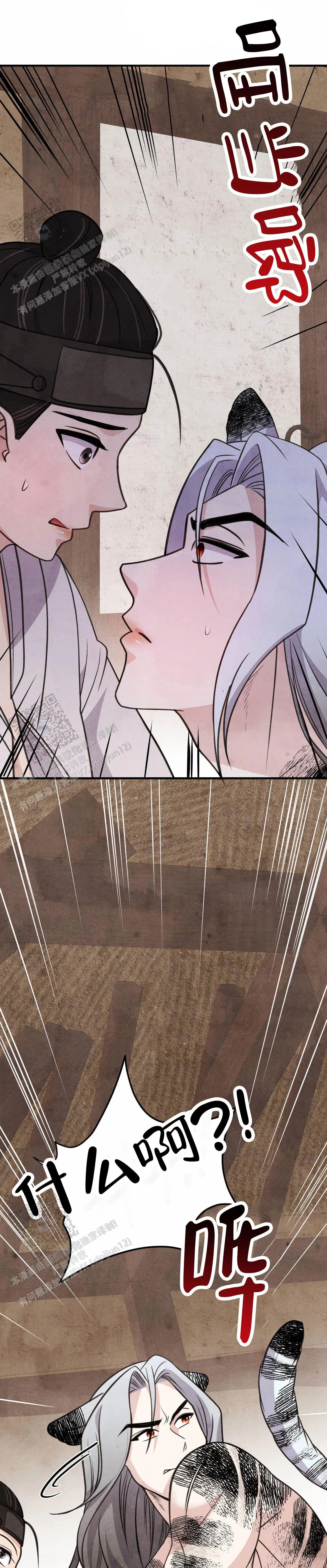 11.jpg