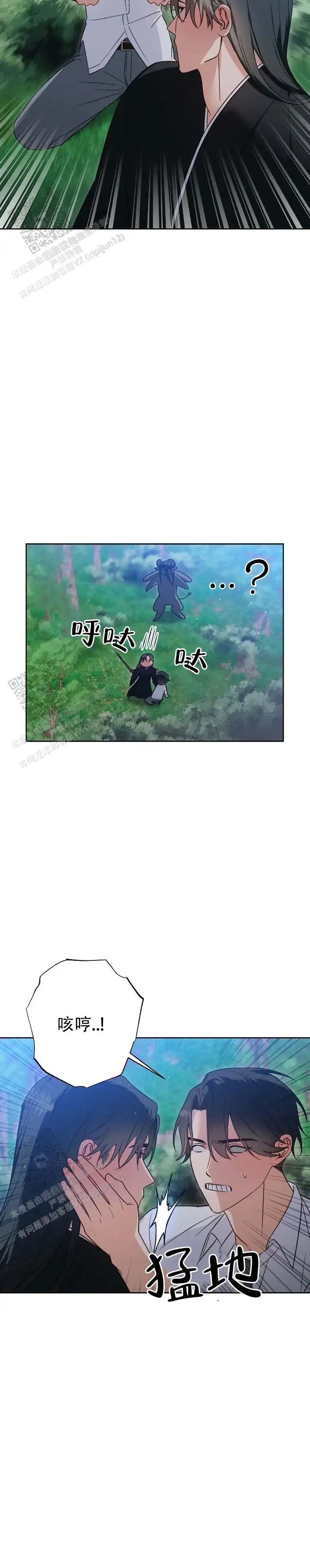 13.jpg