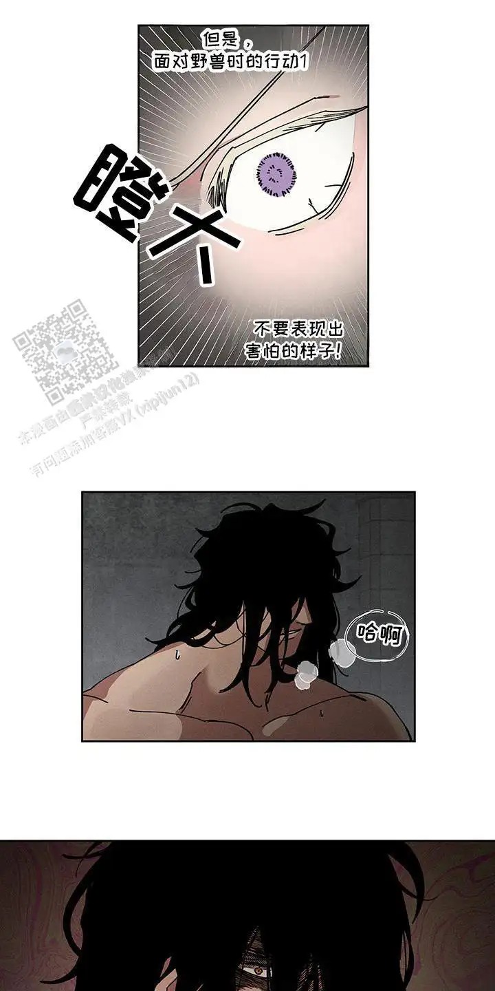 14.jpg
