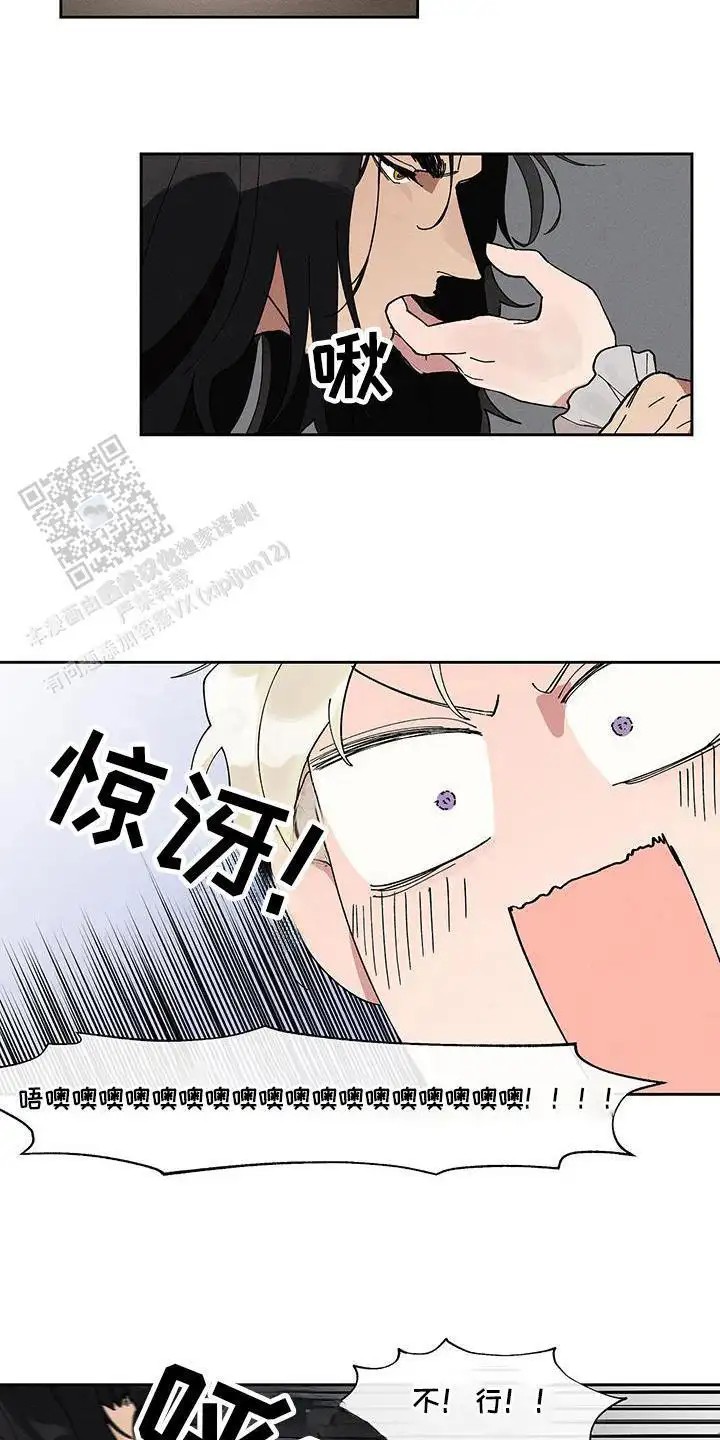 14.jpg
