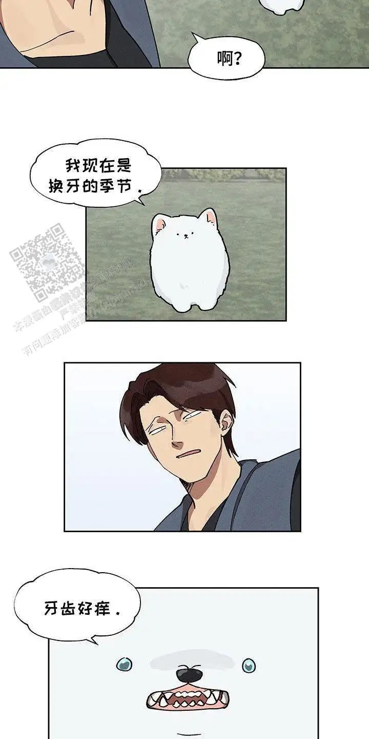13.jpg