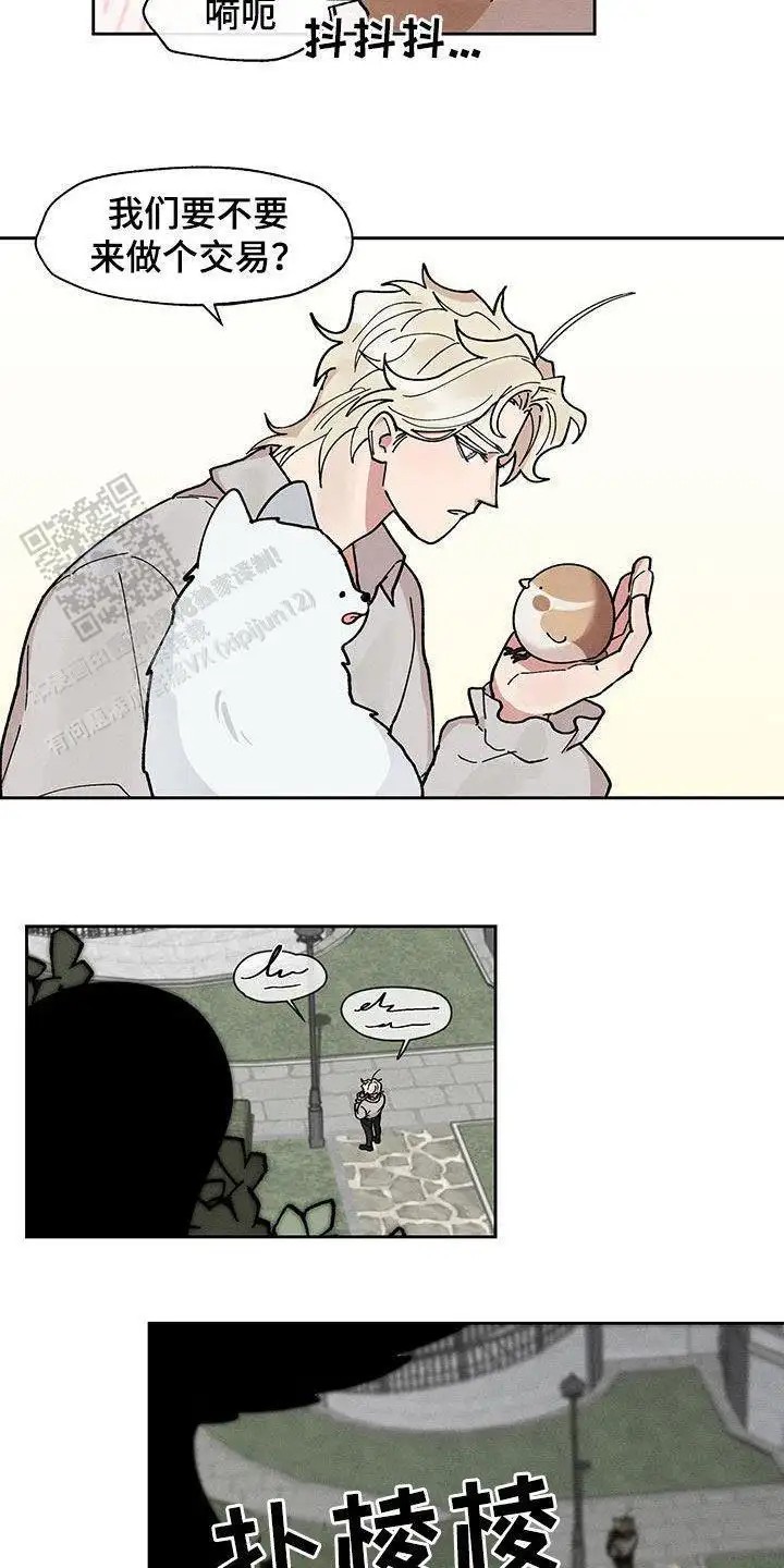 16.jpg