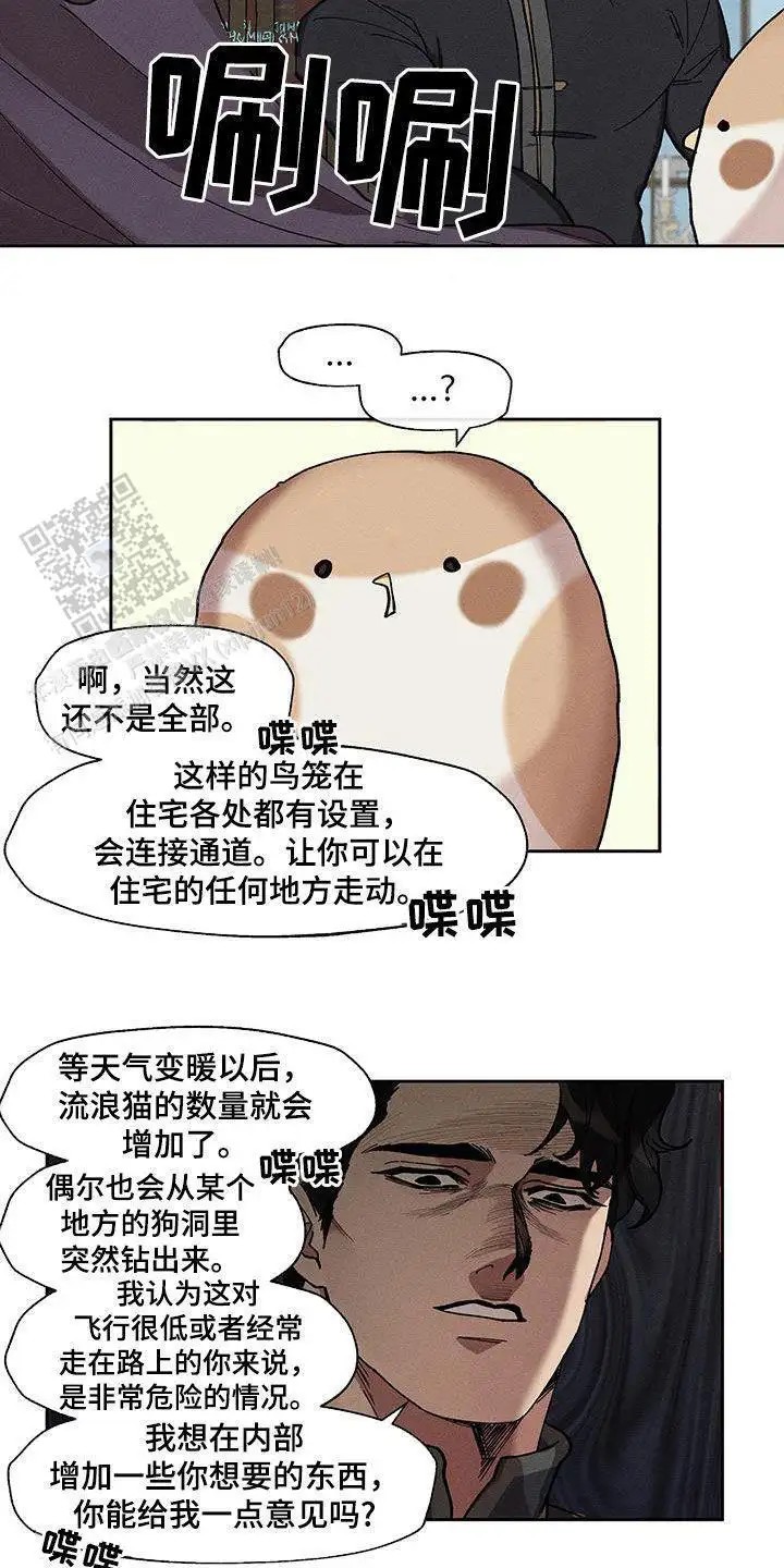 8.jpg