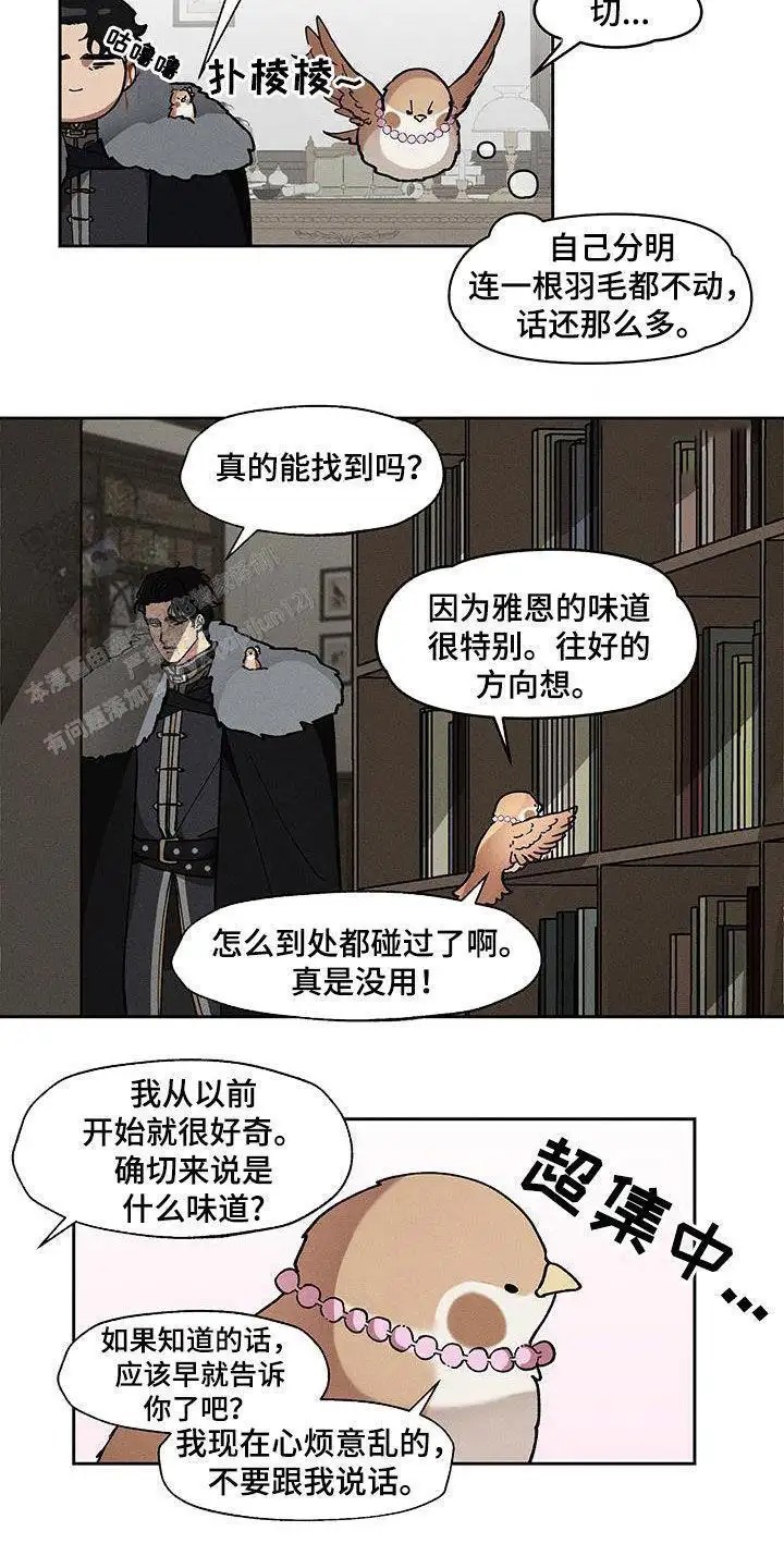 15.jpg