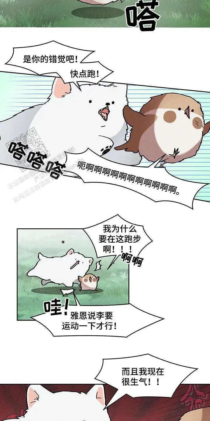 13.jpg