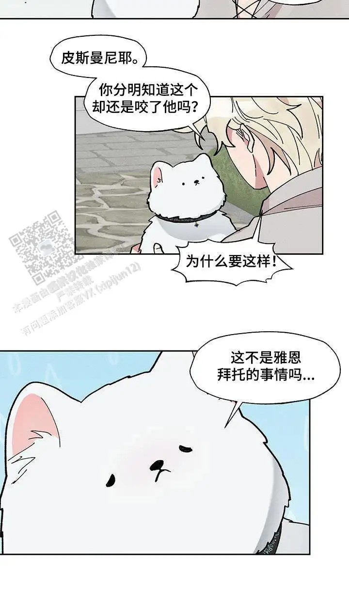 17.jpg