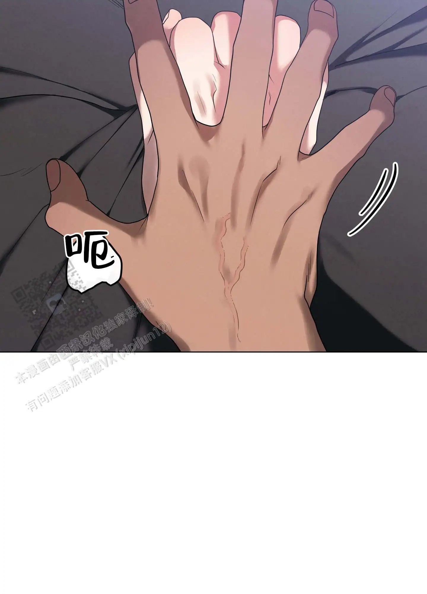 62.jpg