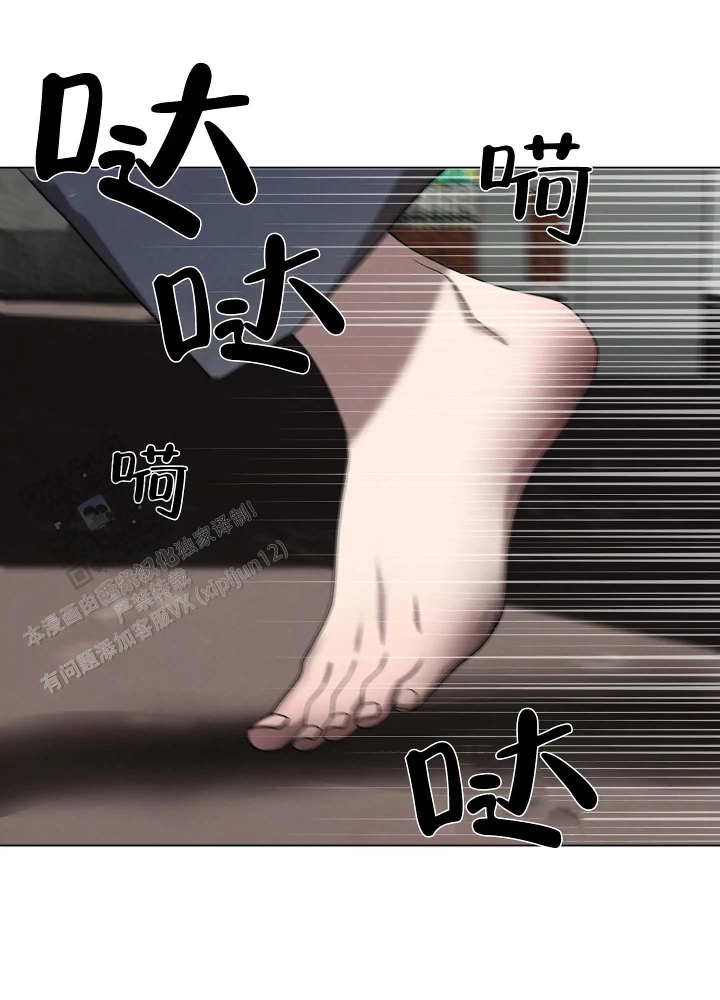 24.jpg