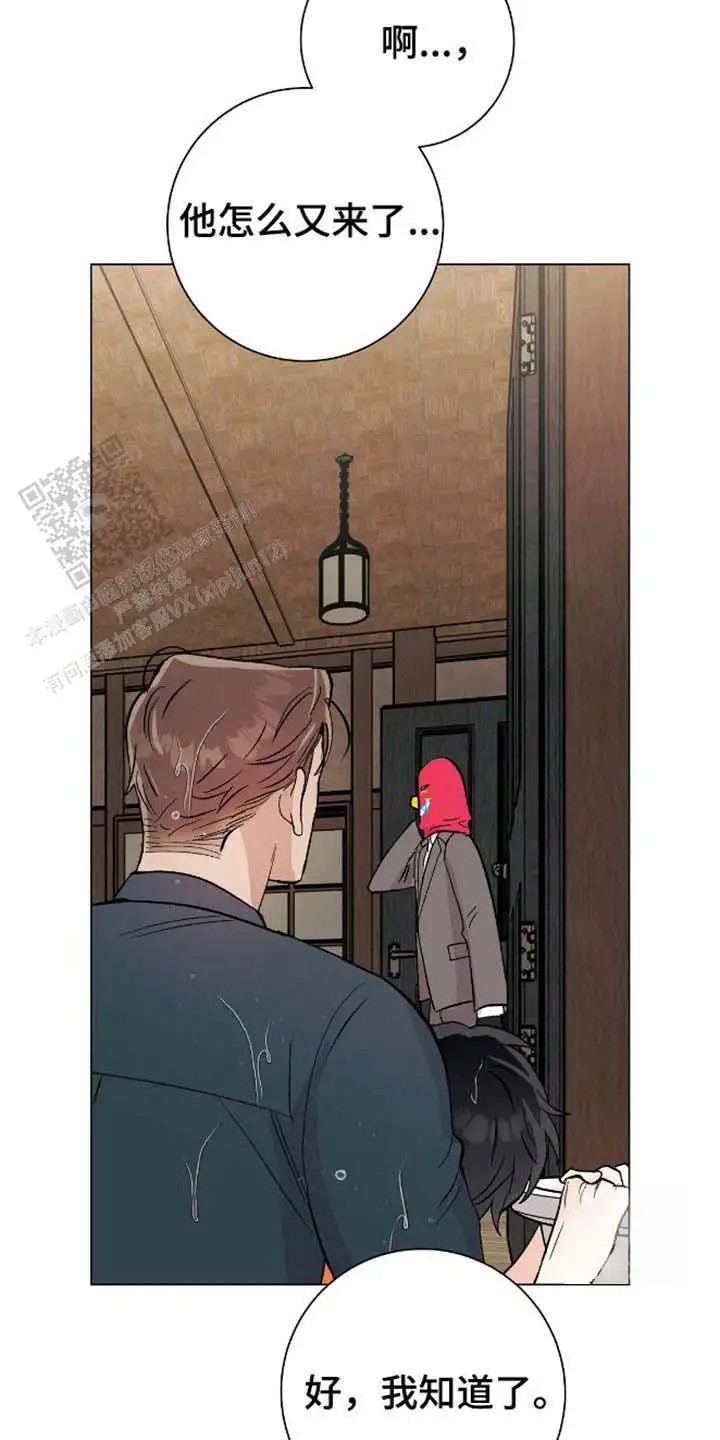 27.jpg