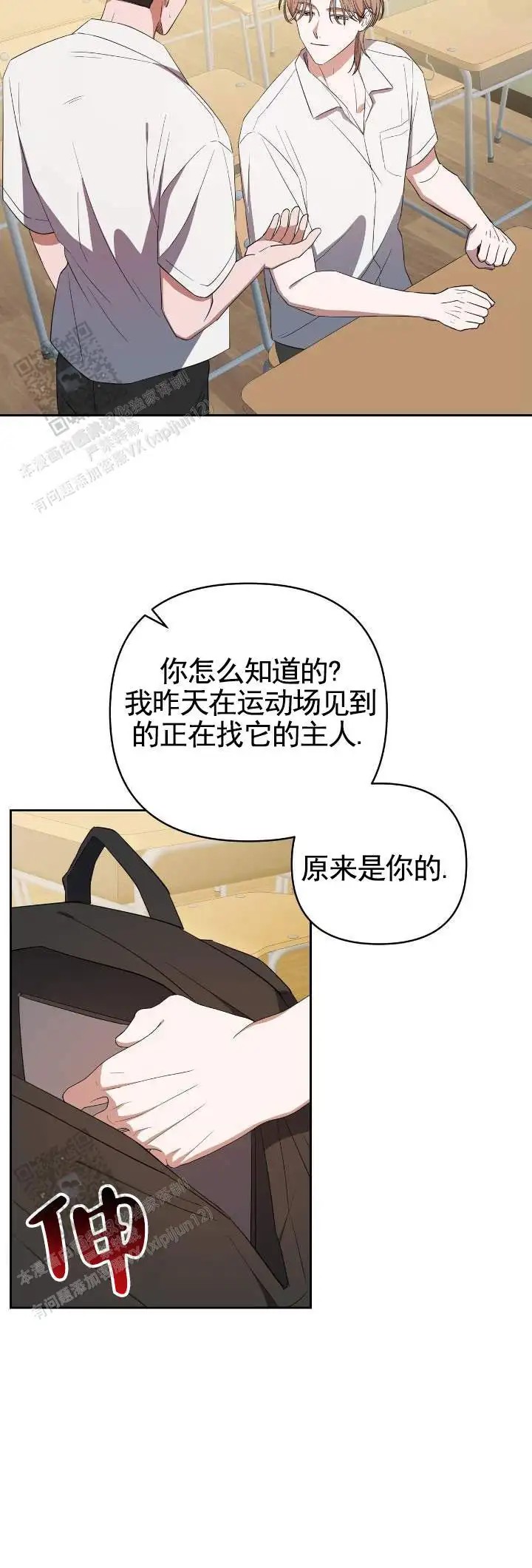 9.jpg