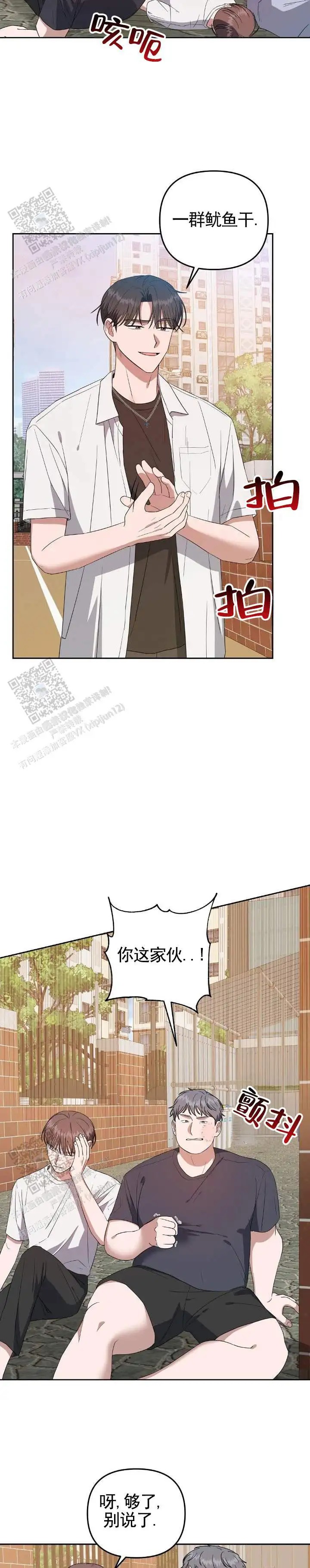 6.jpg