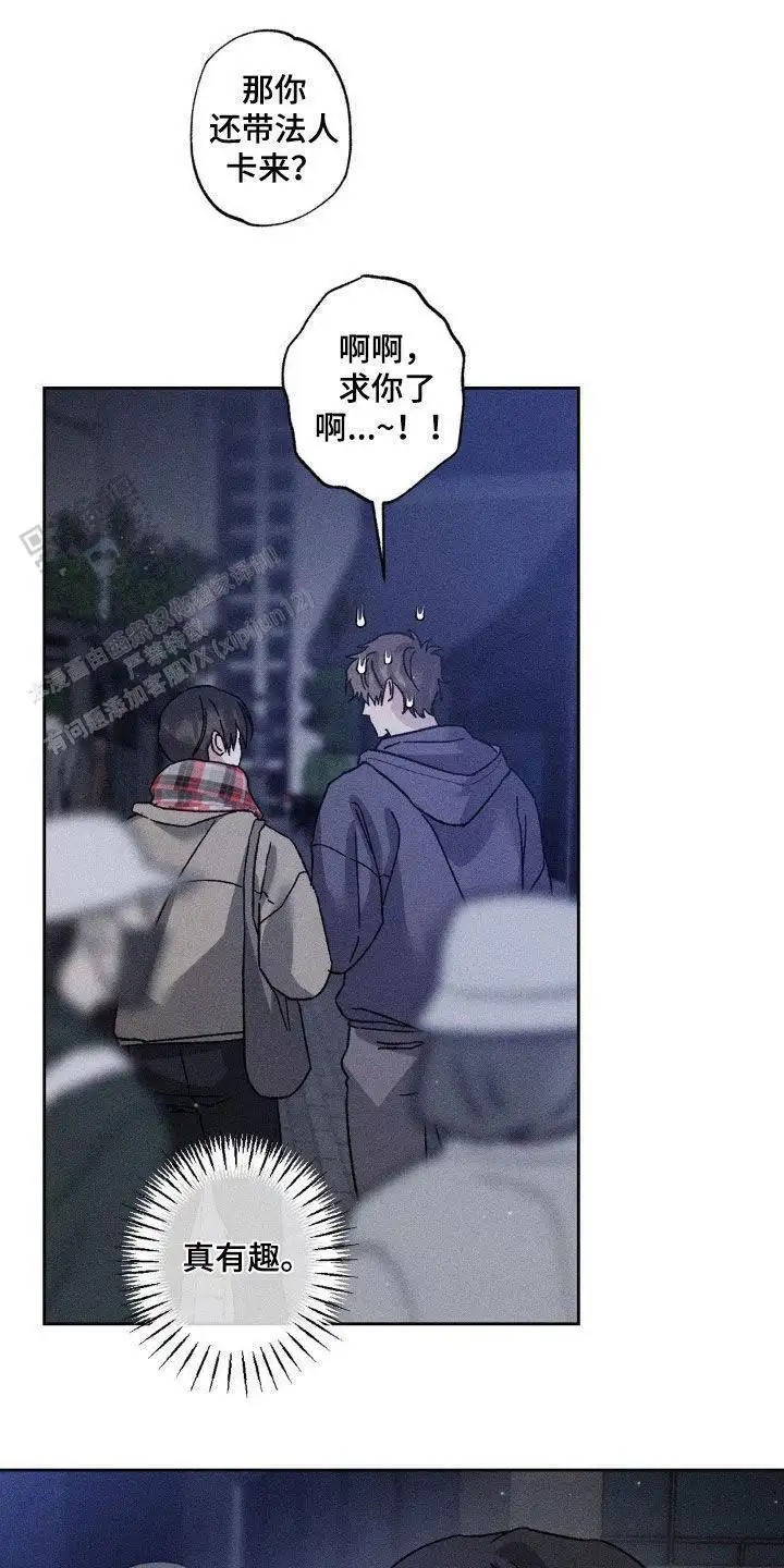 17.jpg