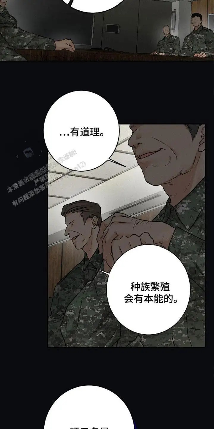 21.jpg