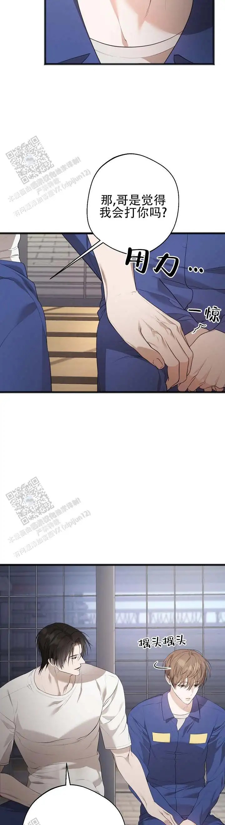 11.jpg