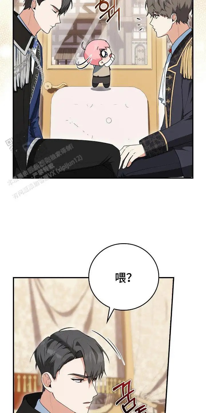 27.jpg