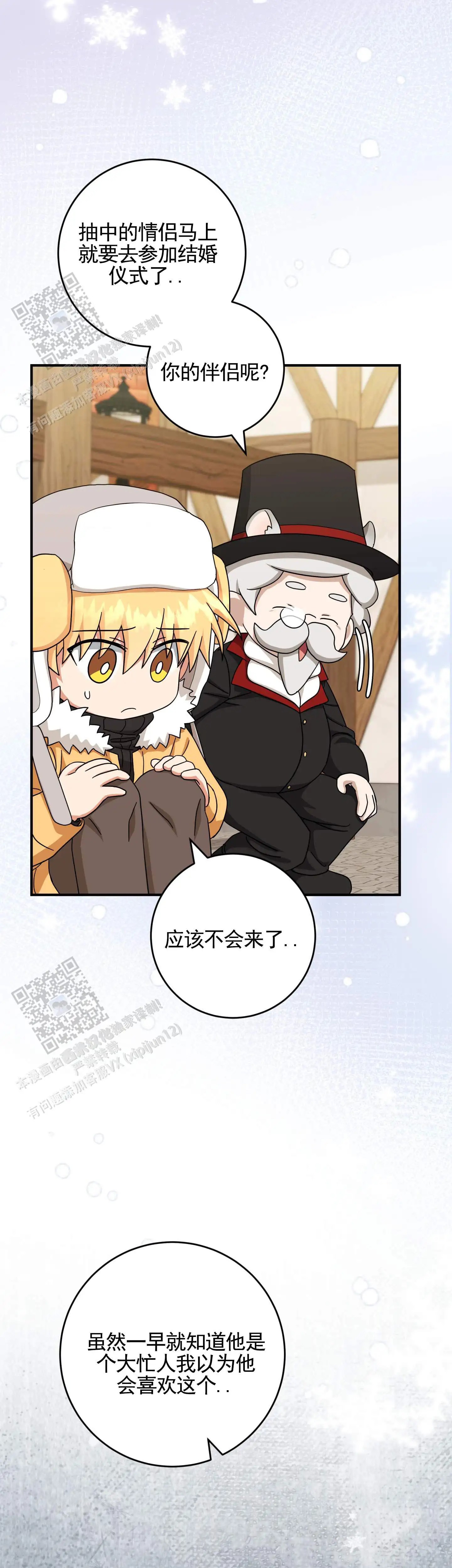 16.jpg