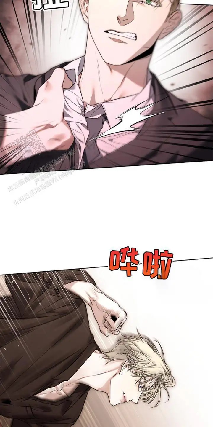 21.jpg
