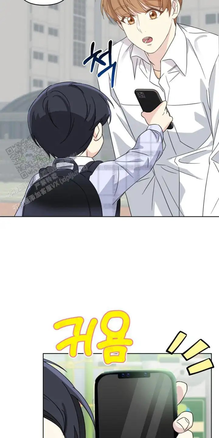 15.jpg