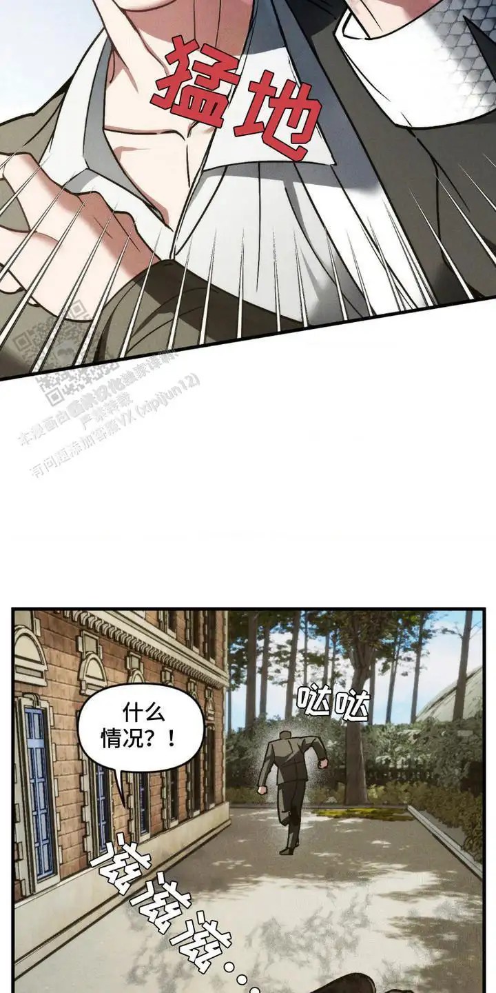 15.jpg
