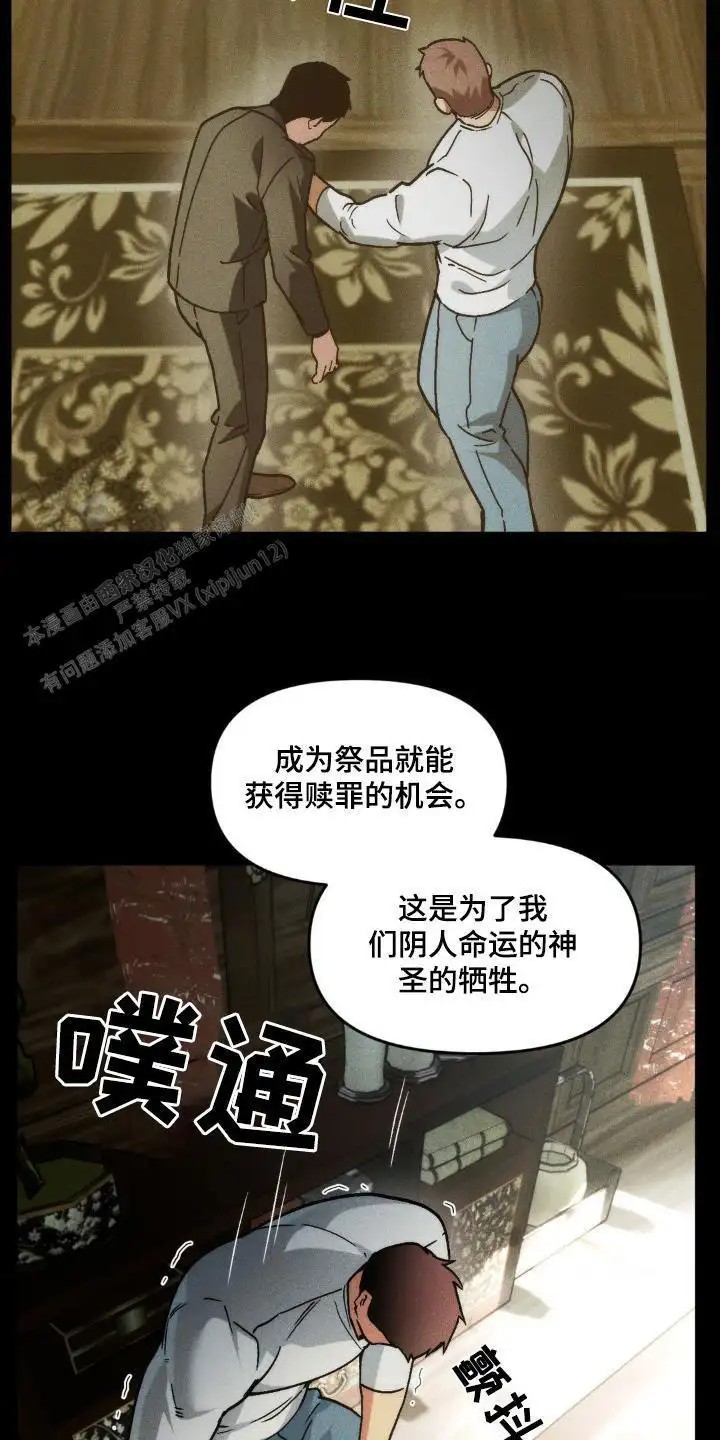 12.jpg