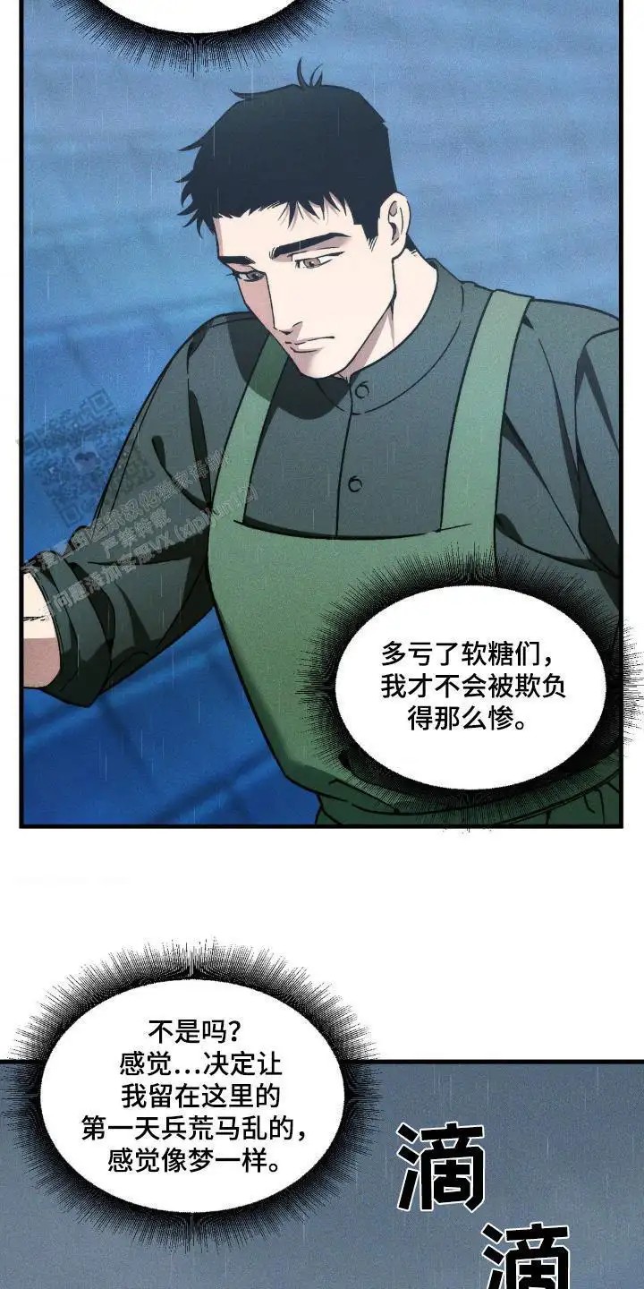 4.jpg