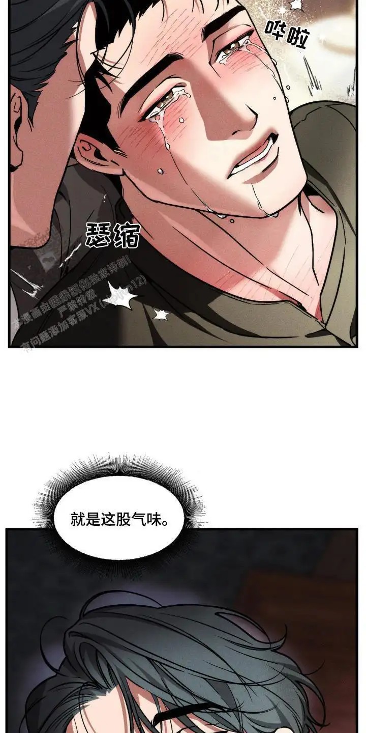 16.jpg