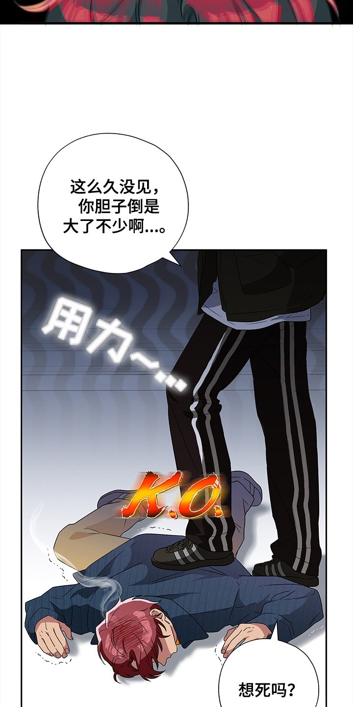 19.jpg