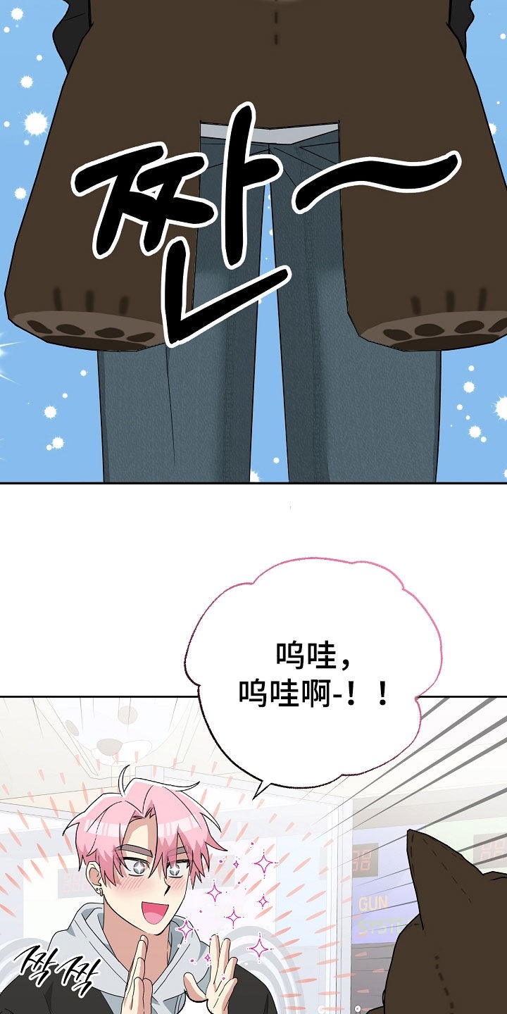 15.jpg
