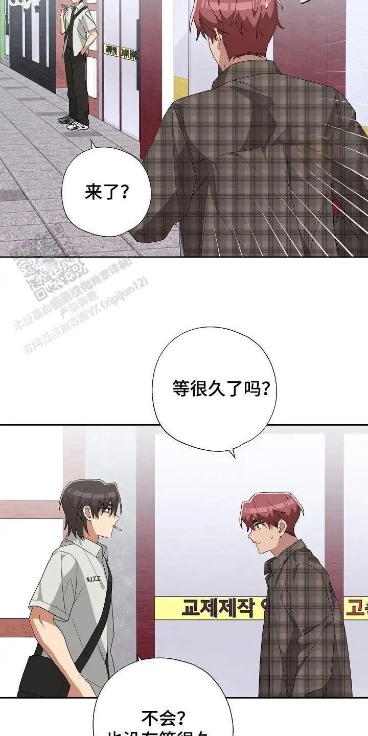 15.jpg