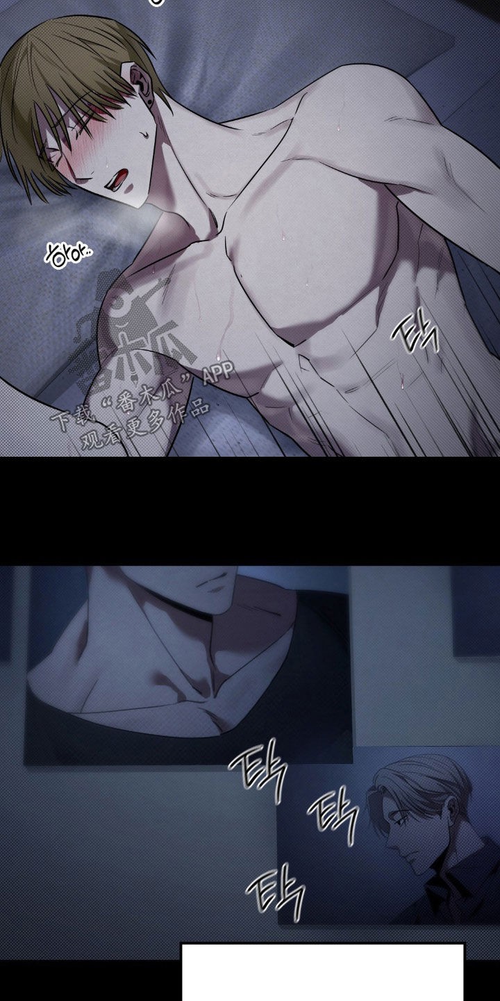 31.jpg