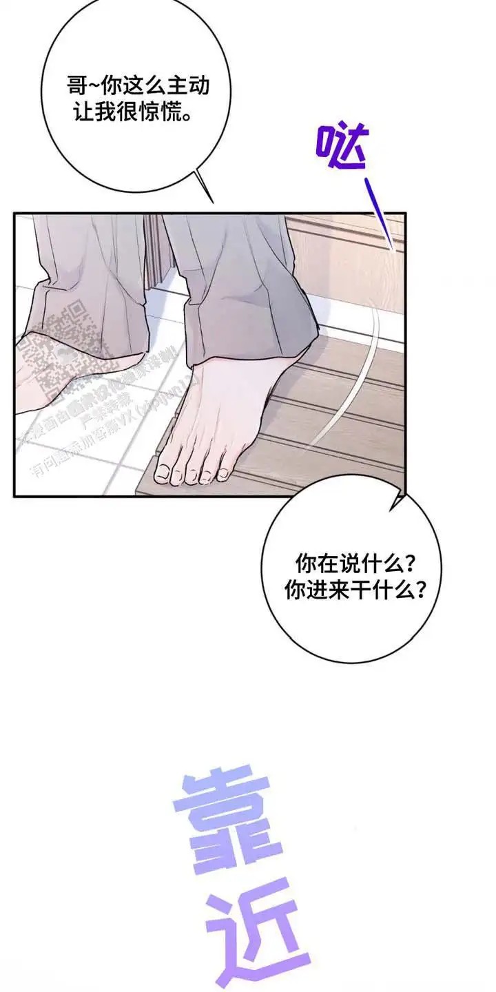 21.jpg