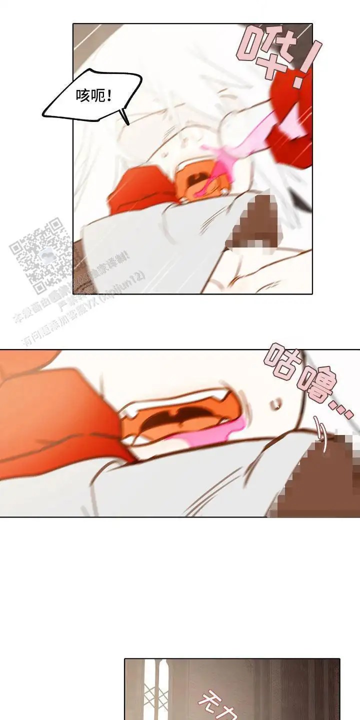 13.jpg