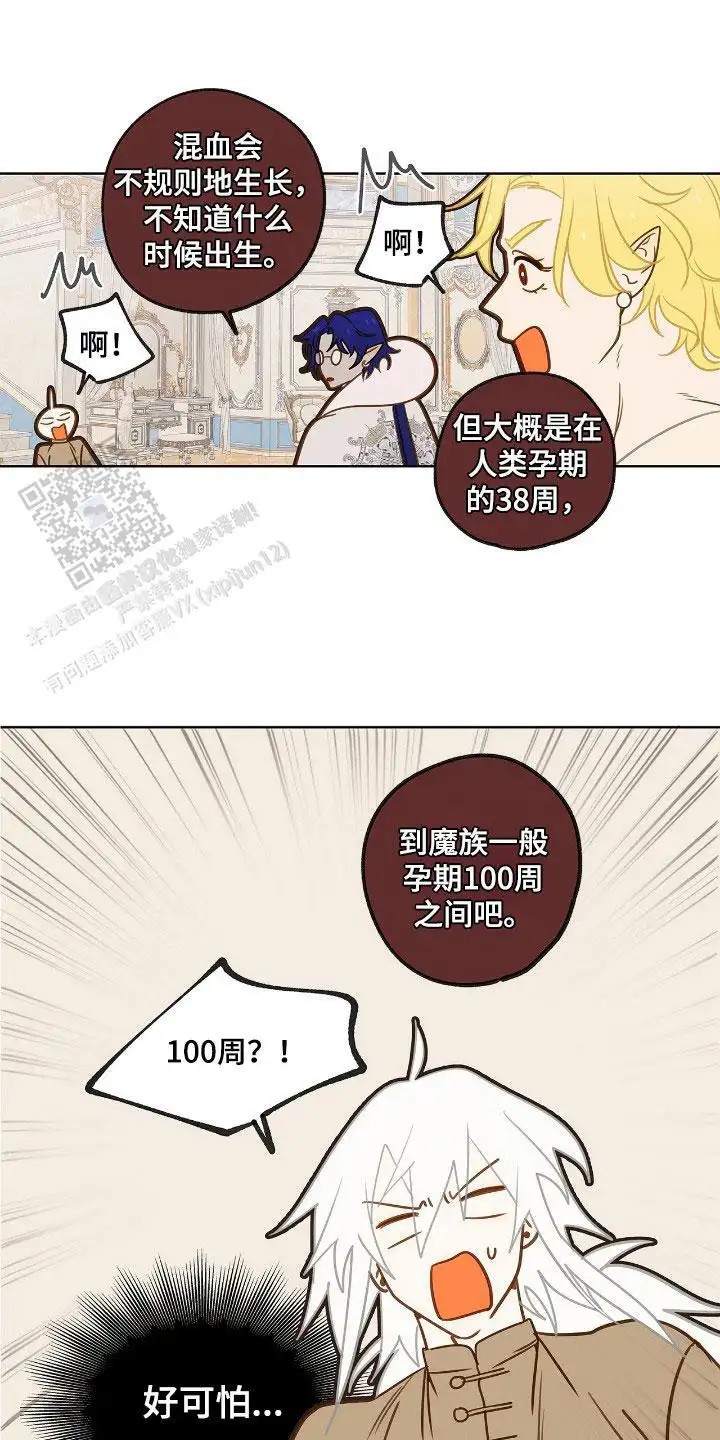 18.jpg