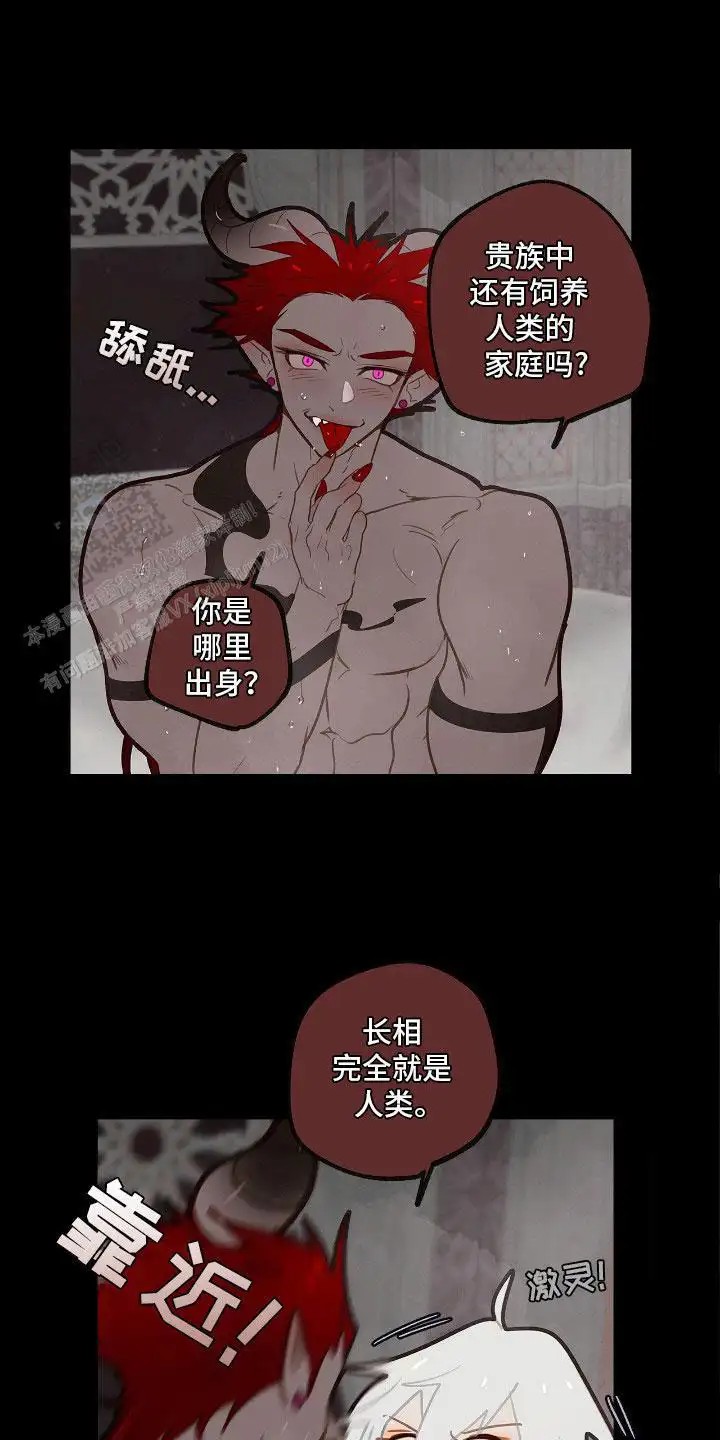 19.jpg