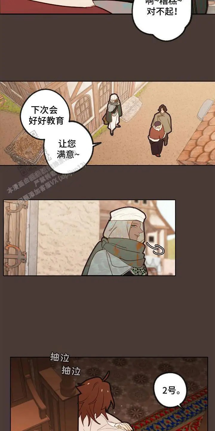 12.jpg