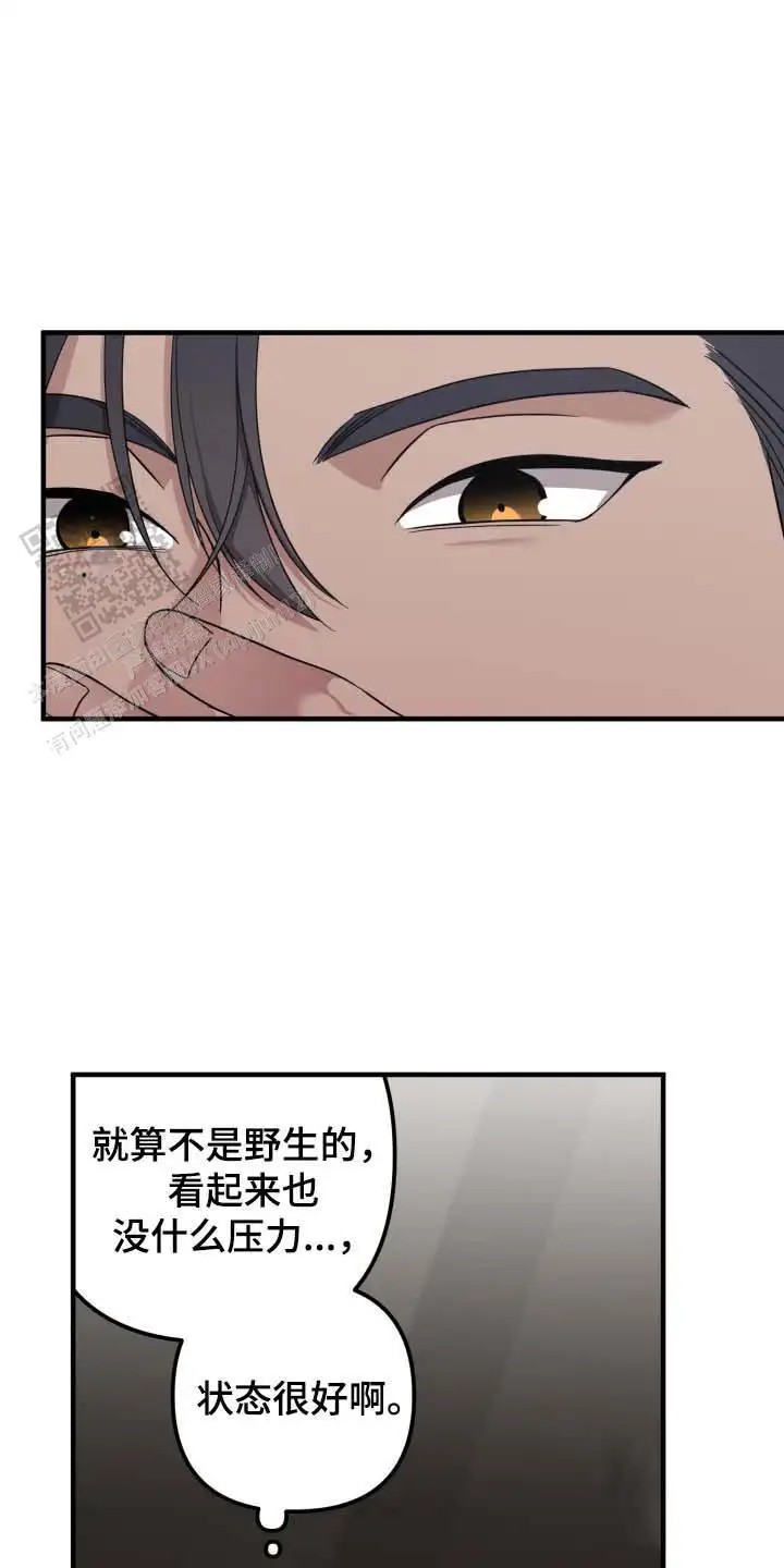 22.jpg