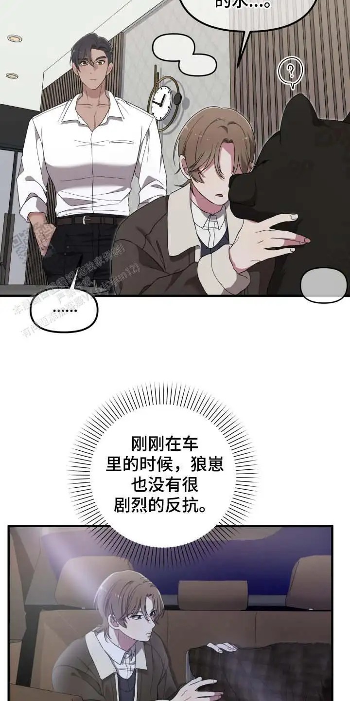 15.jpg
