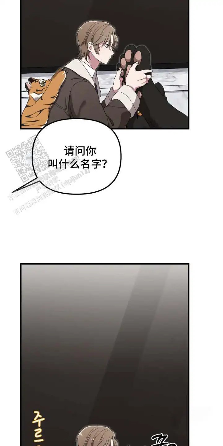 23.jpg