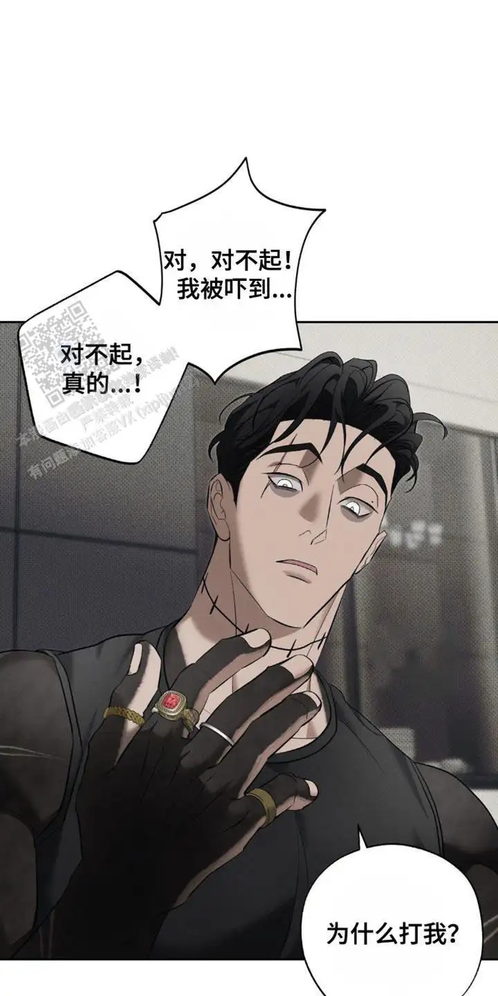 24.jpg