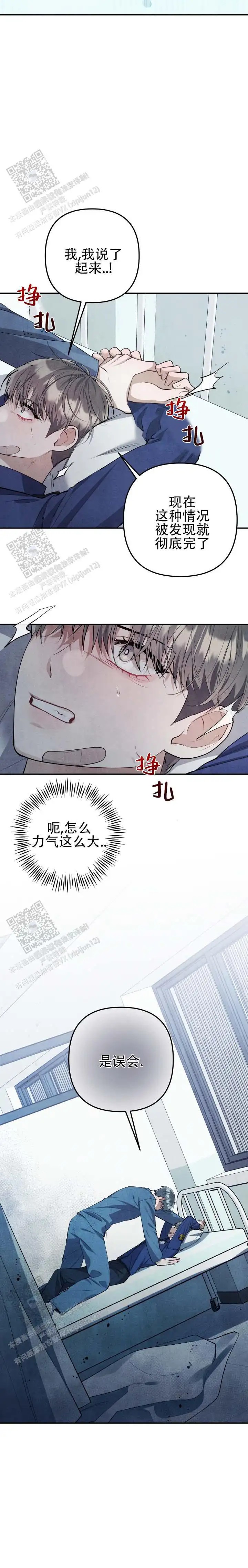 12.jpg