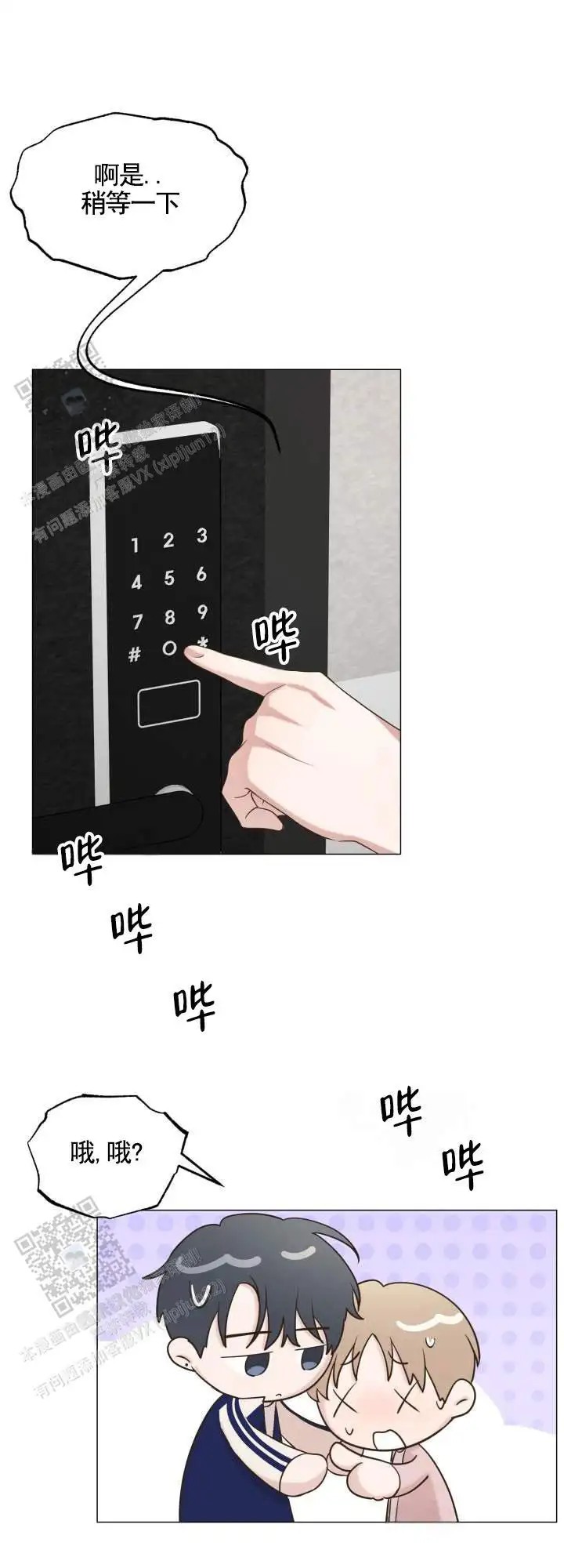 8.jpg