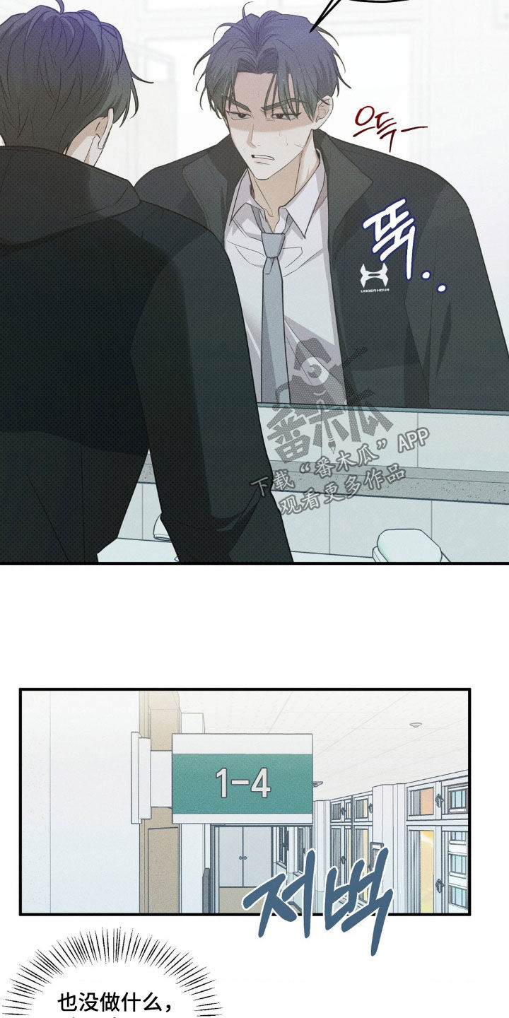 16.jpg