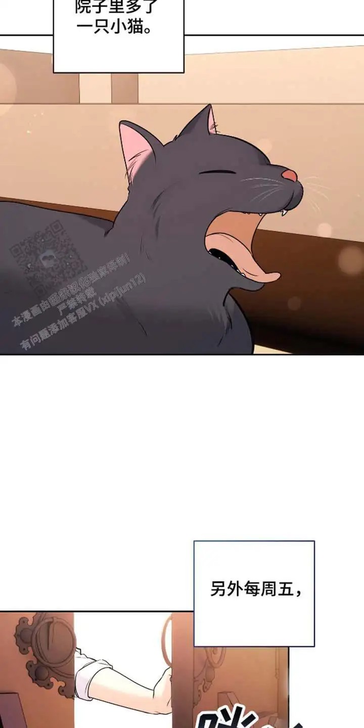 13.jpg