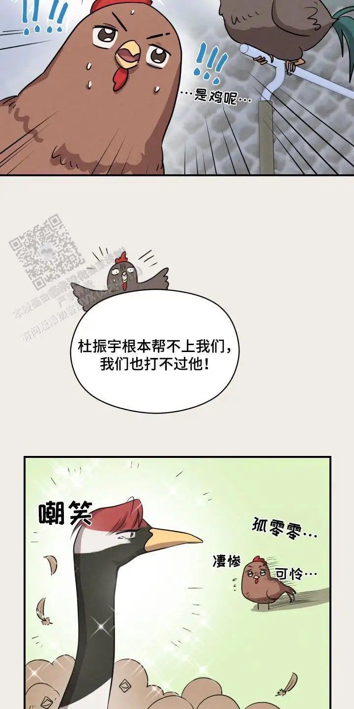 23.jpg