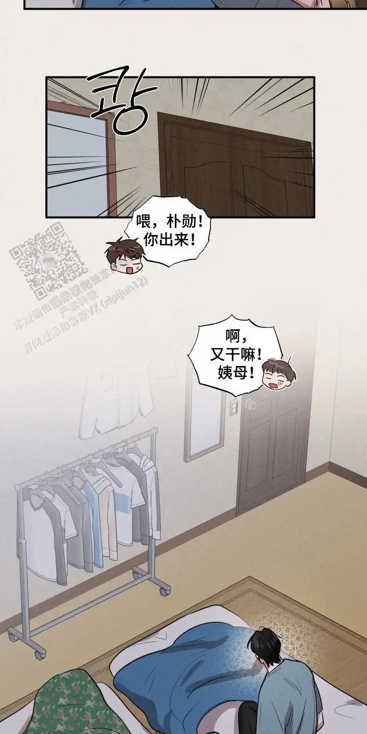 15.jpg