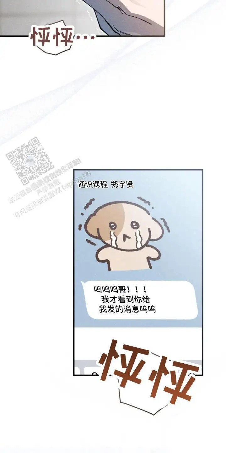 26.jpg