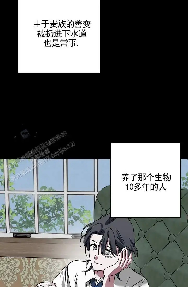 35.jpg