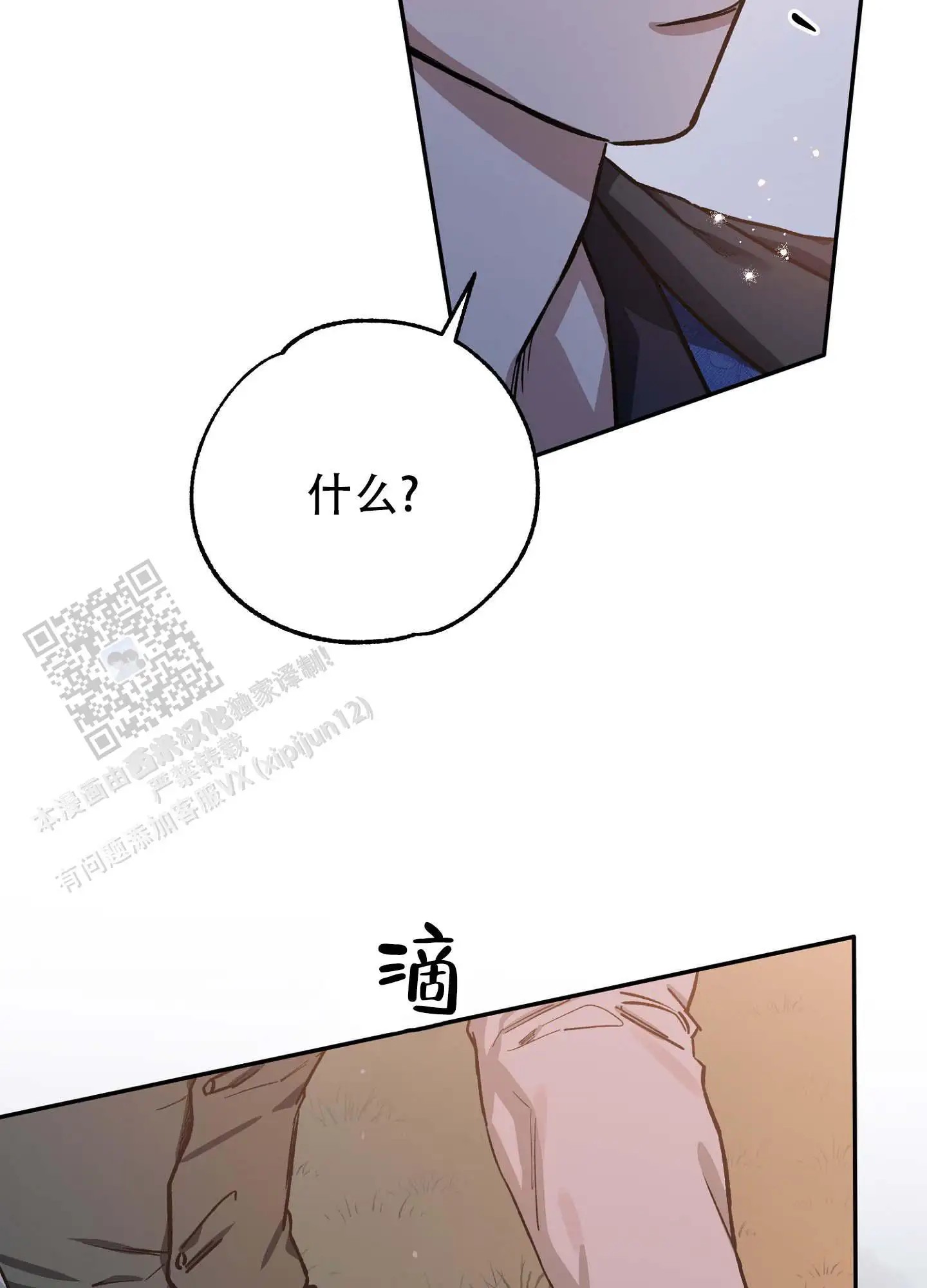 29.jpg