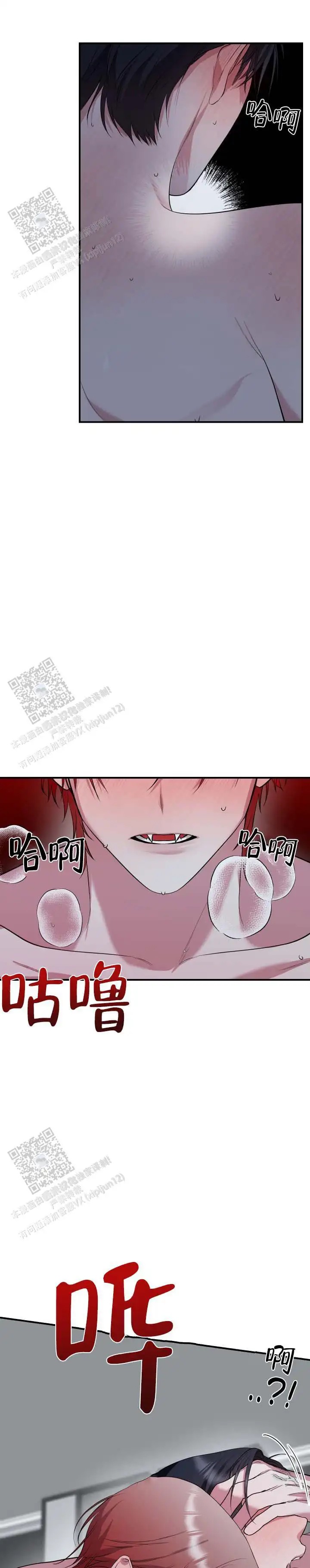 12.jpg